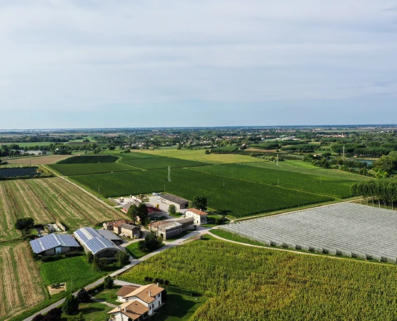 La storia della nostra azienda