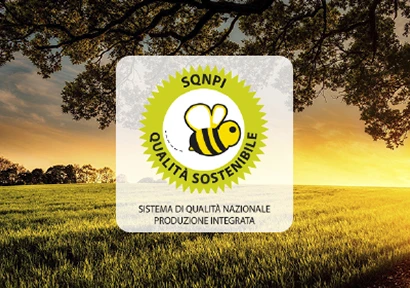 certificazione