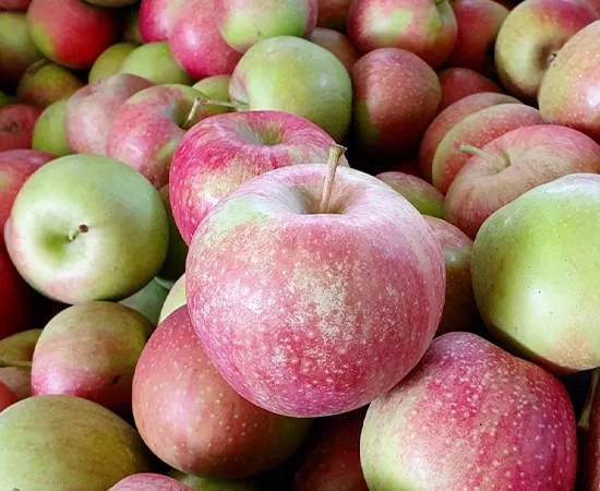 Frutta fresca
